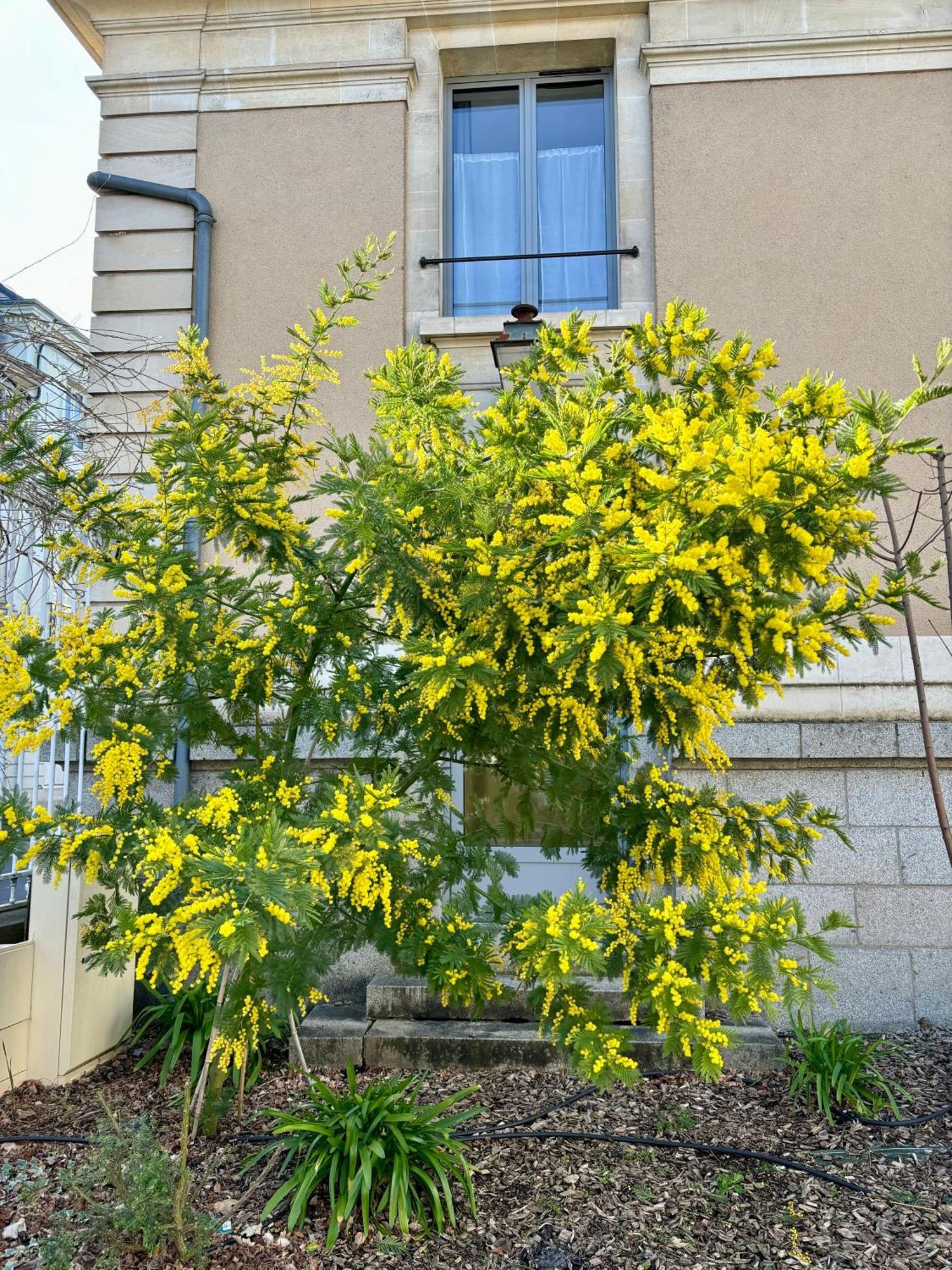 Holiday home La Parenthese Flechoise,